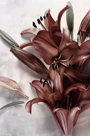 Canvastavla - Floral form part vertical