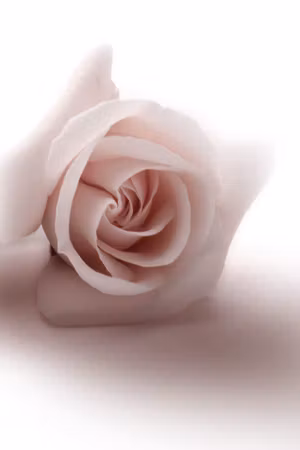Canvastavla - Floral glamour glow part delicate