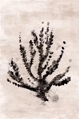 Canvastavla - Sea plant part vertical