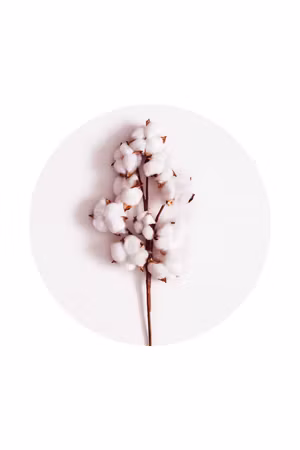 Canvastavla - Soft cotton part vertical