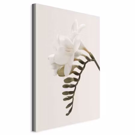 Canvastavla - Spring headdress part vertical