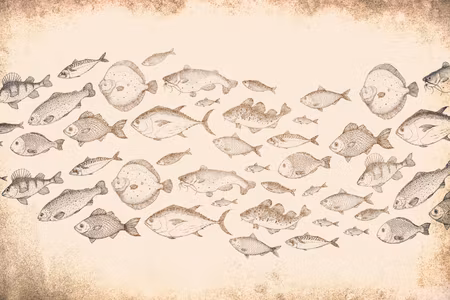Canvastavla - Subtle fish