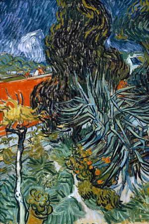 Canvastavla - Vincent van gogh the garden of dr in