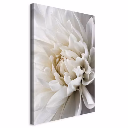 Canvastavla - White dahlia
