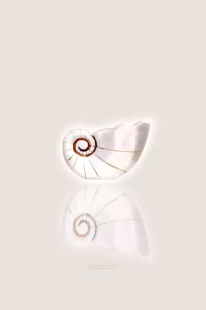 Ljuddämpande tavla - Ceramic Shell Part Vertical