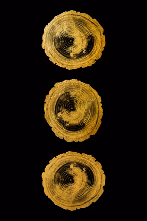 Ljuddämpande tavla - Golden Knots Part Vertical