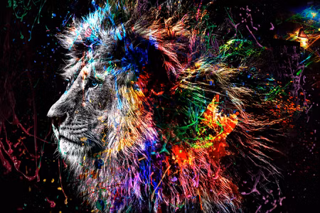 Ljuddämpande tavla - Crazy Lion Part Wide