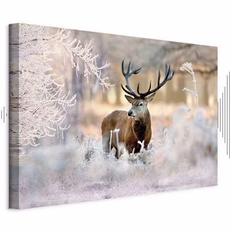 Ljuddämpande tavla - Deer in the Cold