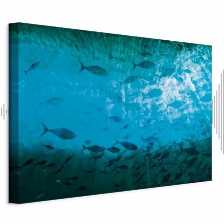 Ljuddämpande tavla - A Shoal of Dark Fish