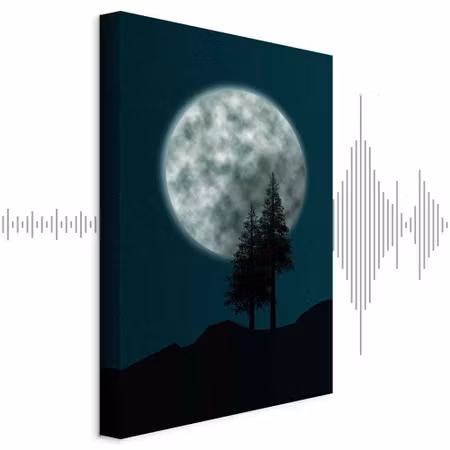 Ljuddämpande tavla - Beautiful Full Moon Part