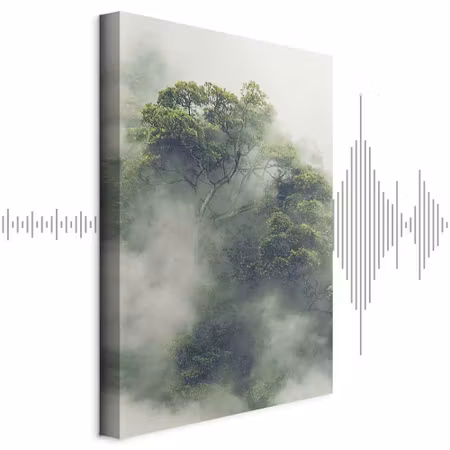 Ljuddämpande tavla - Foggy Amazon Part Vertical