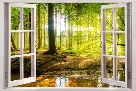 Ljuddämpande tavla - Window View on Forest