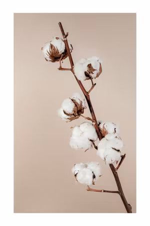 Ljuddämpande tavla - Softness of Cotton Part