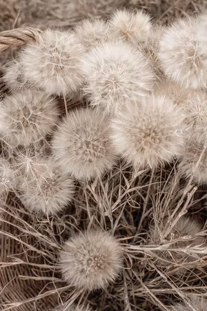 Ljuddämpande tavla - Delicate Bunch Part Vertical