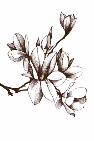 Ljuddämpande tavla - Renaissance Magnolias Part