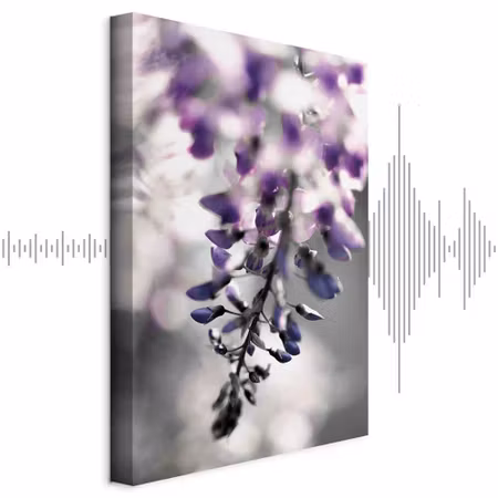 Ljuddämpande tavla - Violet Ringtones Part