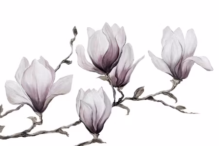Ljuddämpande tavla - Painted Magnolias Part Wide