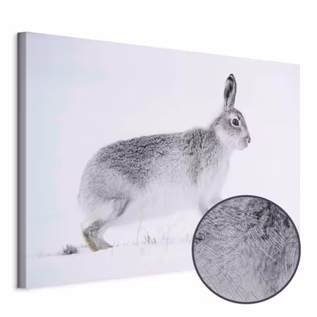 Premium canvastavla - Hare Part Wide