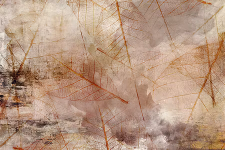 Premium canvastavla - Imprint of Nature Part Wide