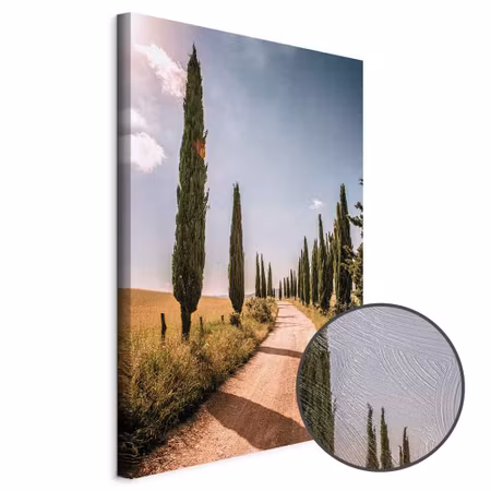 Premium canvastavla - Italian Cypresses Part