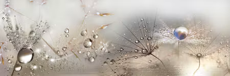 Premium canvastavla - Morning Song