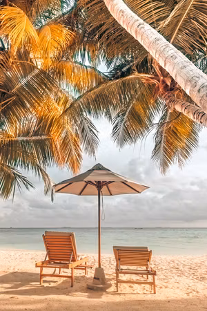 Premium canvastavla - Palm Umbrella Part Vertical