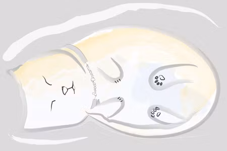 Premium canvastavla - Sleepy Kitty Part Vertical