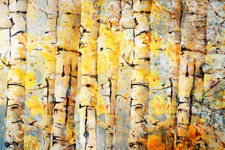 Premium canvastavla - Summer Colors of the Forest