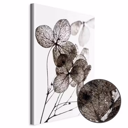 Premium canvastavla - Transparent Clover Part