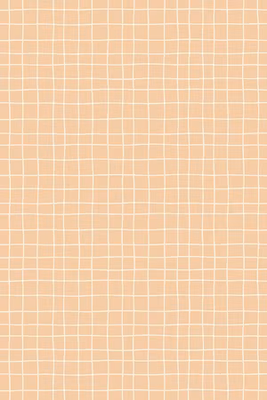 Premium canvastavla - Waving Lines - Creamy Grid