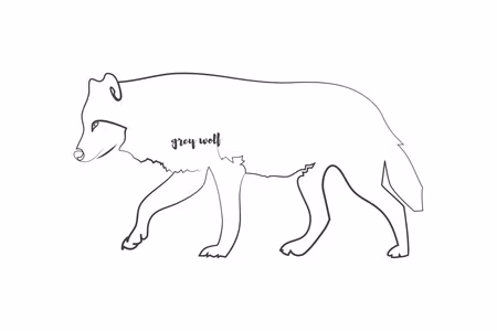 Premium canvastavla - Wolf Part Wide