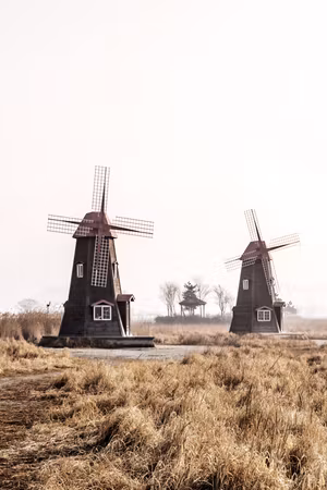 Premium canvastavla - Wooden Windmill Part