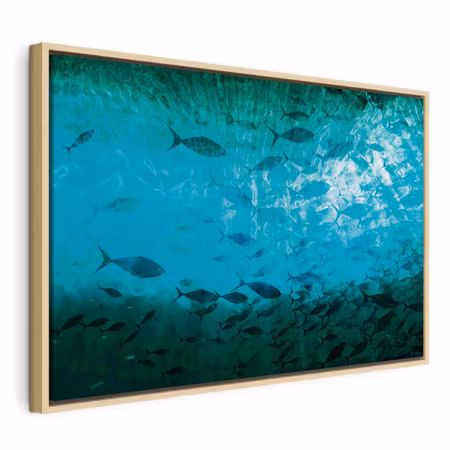 Canvastavla med ram - A shoal of dark fish