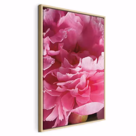 Canvastavla med ram - Blossom of beauty pink peony
