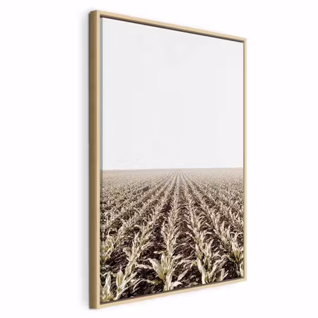 Canvastavla med ram - Corn field vertical