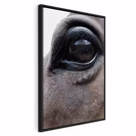 Canvastavla med ram - Honest eyes vertical