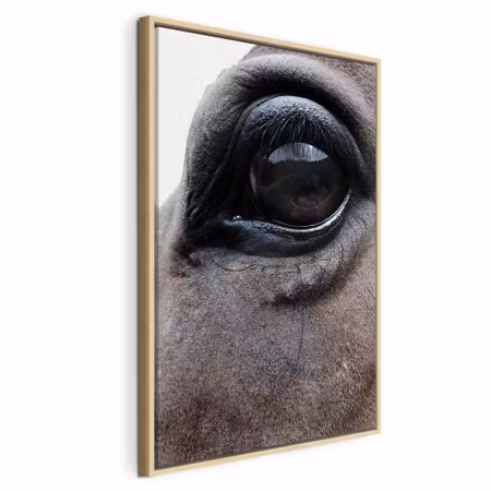 Canvastavla med ram - Honest eyes vertical