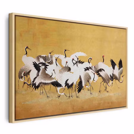 Canvastavla med ram - Japanese cranes a flock of