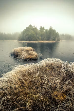 Canvastavla - Autumn in the wetlands part vertical