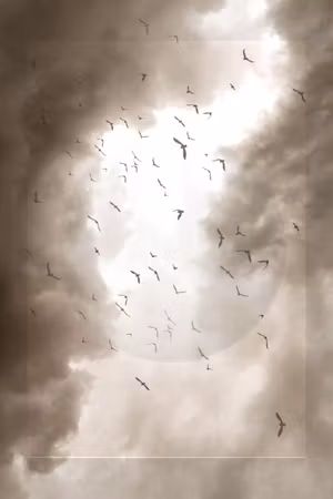 Canvastavla - Birds in the clouds part vertical