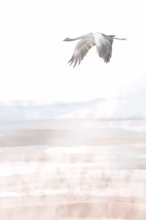 Canvastavla - Crane& s flight part vertical