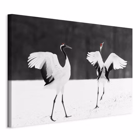 Canvastavla - Dancing cranes part wide
