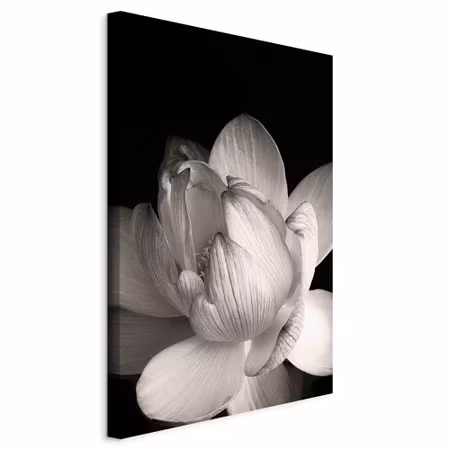 Canvastavla - Delicacy of petals in nature part in