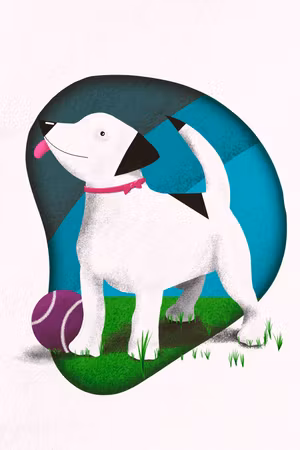 Canvastavla - Dog and ball part vertical