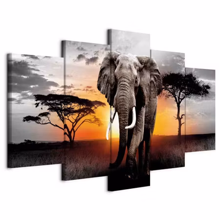 Canvastavla - Elephant at sunset