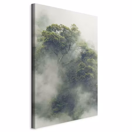 Canvastavla - Foggy amazon part vertical