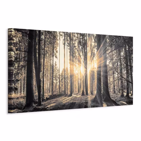 Canvastavla - Forest sun