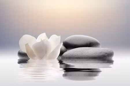 Canvastavla - Garden of calm
