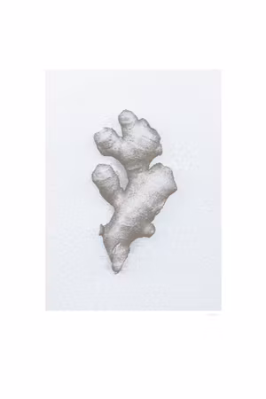 Canvastavla - Ginger part vertical