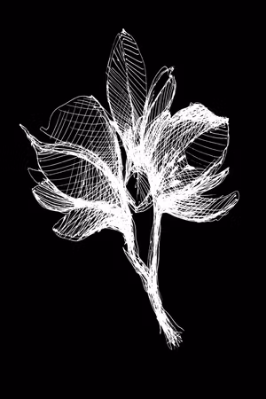 Canvastavla - Night flower part vertical